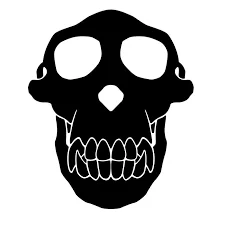 crazy monkey amsterdam partner logo